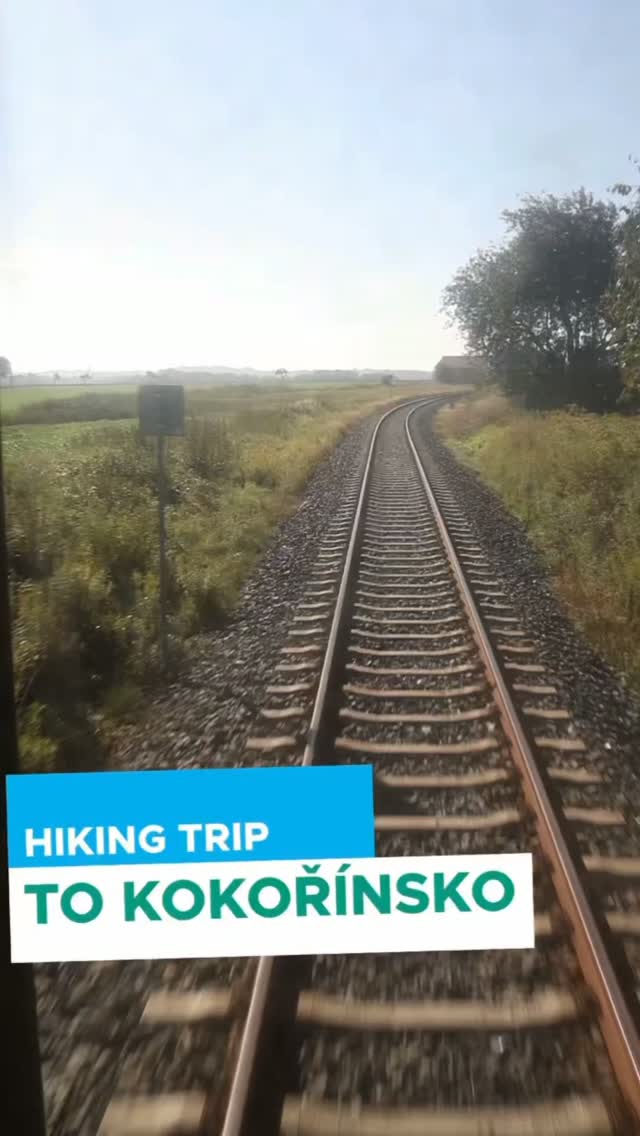 Last Saturday, we swapped lecture halls for hiking trails🥾 and explored the beautiful landscape of Kokořínsko🌲 together!
Thank you everyone who joined us.
#studentlife #askstudents #kokorinsko