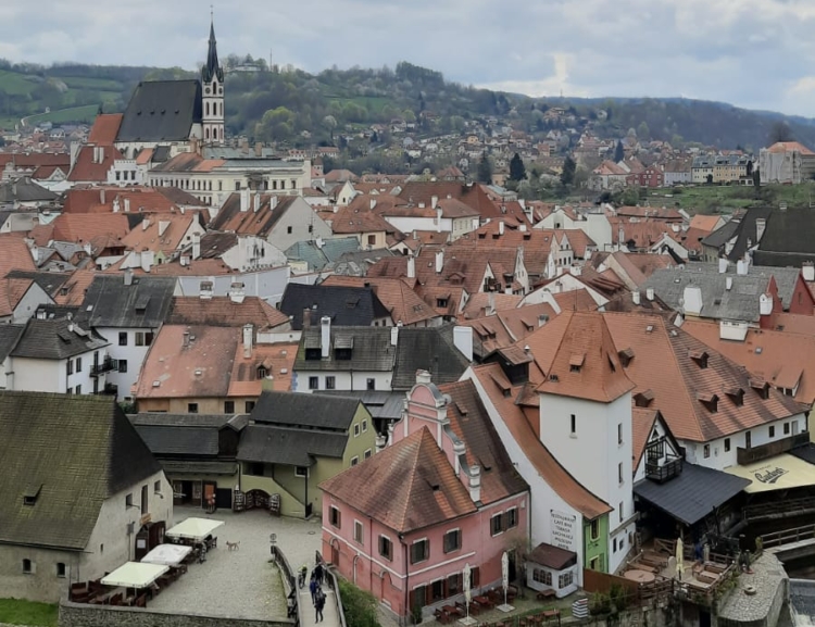 FIS Masters students on a trip to Český Krumlov