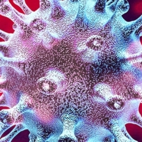 New obligations regarding COVID-19 – updated