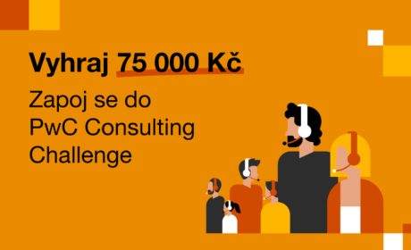 PwC Consuting Challenge 2024